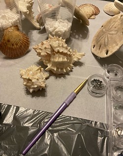 We take pride in cleaning and caring for our precious seashells before we create art for you.