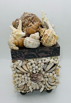 Natural seashells on this wooden decorative box (see other photo for info)