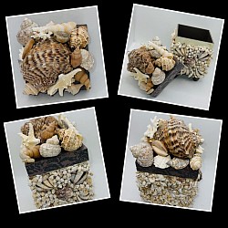 This all natural wooden box with a collage of real coral, seashells and starfish. 4.5”x4.5”x7.5”H.  $30